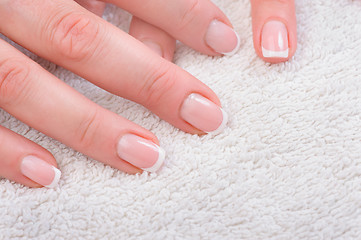 Image showing Fingers with french manicure