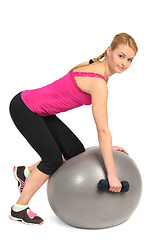 Image showing One-Arm Dumbbell Row on Stability Fitness Ball Exercise