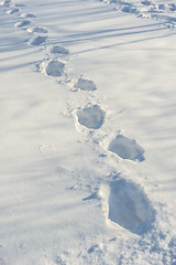 Image showing tracks on the snow