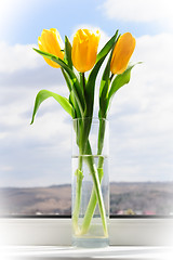 Image showing yellow tulips in vase on window sill