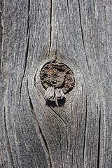 Image showing cracked aged wooden board with knot