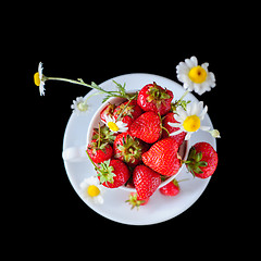 Image showing chamomiles and strawberries in the cup