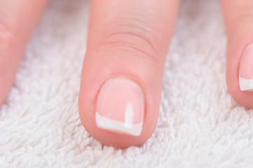 Image showing Fingers with french manicure