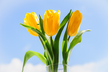 Image showing yellow tulips in vase on window sill