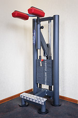 Image showing standing calf raises gym workout machine