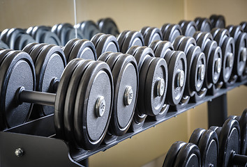 Image showing Row of barbells