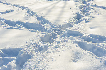 Image showing crossed tracks on the snow