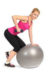 Image showing One-Arm Dumbbell Row on Stability Fitness Ball Exercise