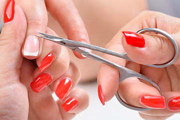 Image showing manicure applying - cutting the cuticle 