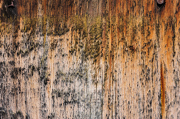 Image showing aged wooden boards background