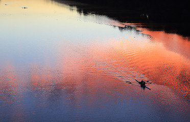 Image showing Rowing silhouettes on the river