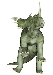 Image showing Dinosaur Styracosaurus