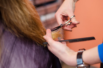 Image showing hands of professional hair stylist cut blonde hair 