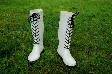 Image showing Rain boots