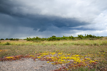 Image showing Colourful landscape with bad weather coming up