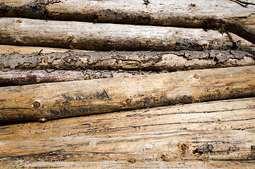 Image showing Background of logs for firewood