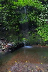 Image showing Gitgit Waterfalls