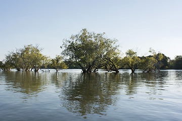 Image showing Zambezi river 