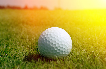 Image showing Golfball in grass