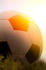 Image showing Photo of a soccer ball on grass