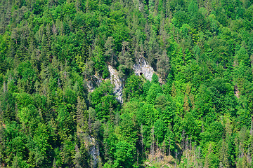 Image showing View from a cliff