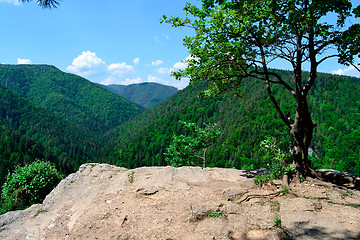 Image showing View from a cliff