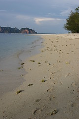 Image showing Footprint on beach