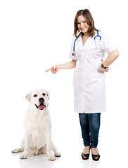 Image showing Beautiful young veterinary with a labrador dog, isolated over wh