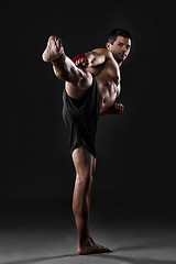 Image showing Man practicing body combat