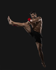 Image showing Man practicing body combat