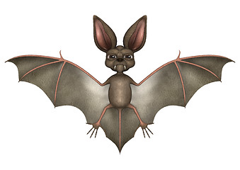 Image showing Funny Bat