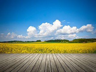 Image showing raps field