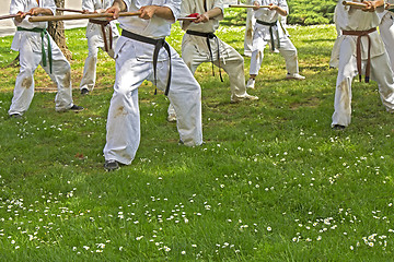 Image showing Taekwondo with sticks