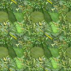 Image showing Camouflage seamless background with natural foliage