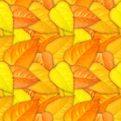 Image showing Camouflage seamless background with natural foliage