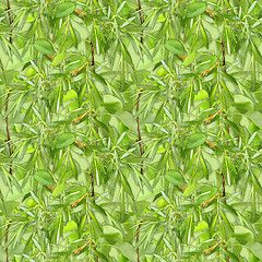 Image showing Camouflage seamless background with natural foliage