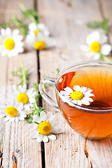 Image showing cup of tea with chamomile flowers 