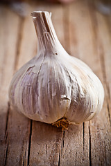 Image showing fresh garlic