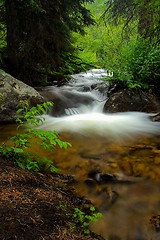 Image showing Flowing Stream in the Forest