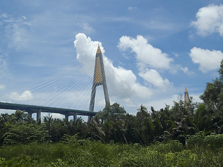 Image showing Motorway bridge through tropical forest