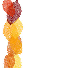 Image showing Dry autumn leaves template. EPS 10