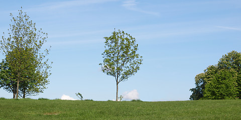 Image showing Primrose Hill, London