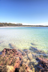 Image showing Green Patch Beach, Australia