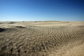 Image showing Dunes in Sahara