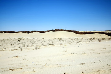 Image showing Sand wall in Sahara