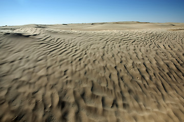 Image showing Desert dunes in Sahara