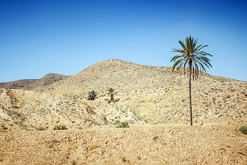 Image showing Rocky desert in southern Tunisia