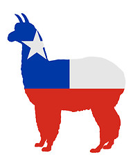 Image showing Chilean alpaca