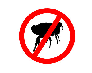 Image showing Prohibition sign for fleas on white background