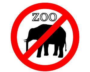 Image showing Elephant in zoo prohibited